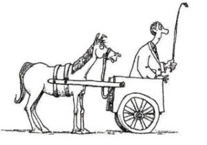 Cart Before the Horse